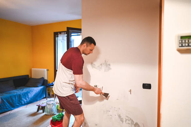 Best Mold Removal Specialists  in Port Washington, NY